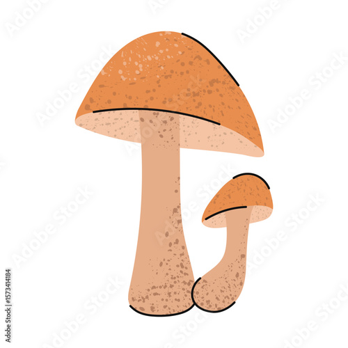 Aspen bolete mushroom. Stylized forest autumn mushroom.