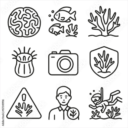 Coral Reef Exploration Icons. Outline style icons of Coral Reef Exploration: brain coral, reef fish cluster, underwater coral