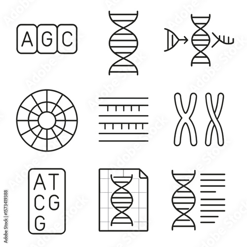 Genetic Code Icons. Outline style icons of Genetic Code: codon triplet, genome strand, RNA transcription, codon wheel, genetic