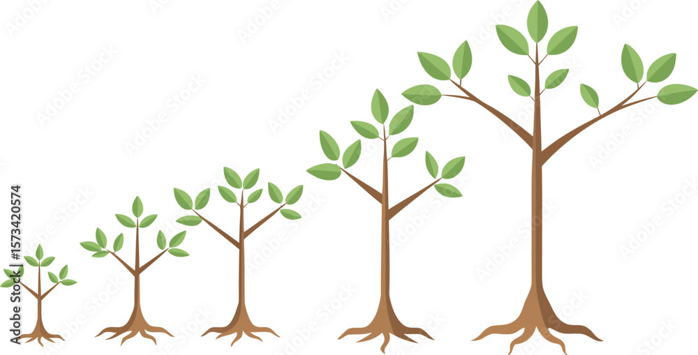 Obraz premium Growth Stages: Five Saplings Illustrating Development, From Seedling to Mature Tree, Clean Vector Illustration.