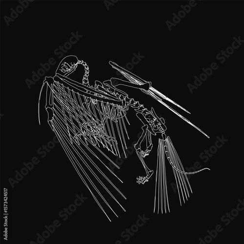 A black and white skeleton plays a harp with intricate details, its arms outstretched and head tilted back. The contour of the bones stands out against the dark background.