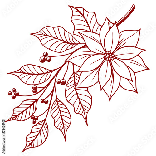 vector illustration of poinsettia