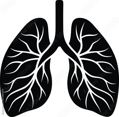 Black and White Line Art Drawing of Human Lungs Detailed Bronchial Tree Anatomy Medical Graphic Simple Vector Illustration