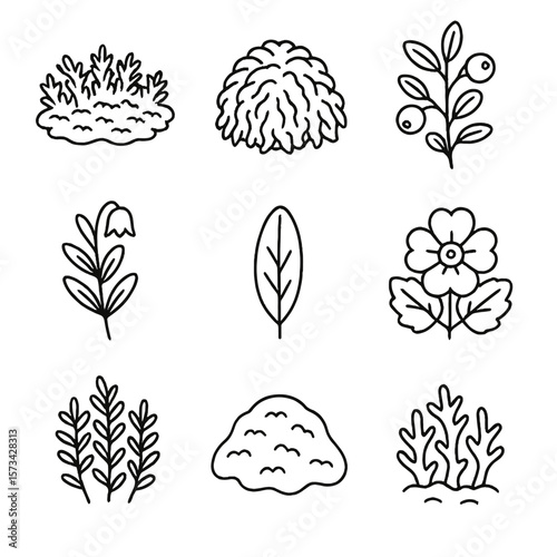 Bog Plant Icons. Outline style icons of Bog and Peat Plants: sphagnum moss patch, peat moss clump, bog cranberry plant, bog
