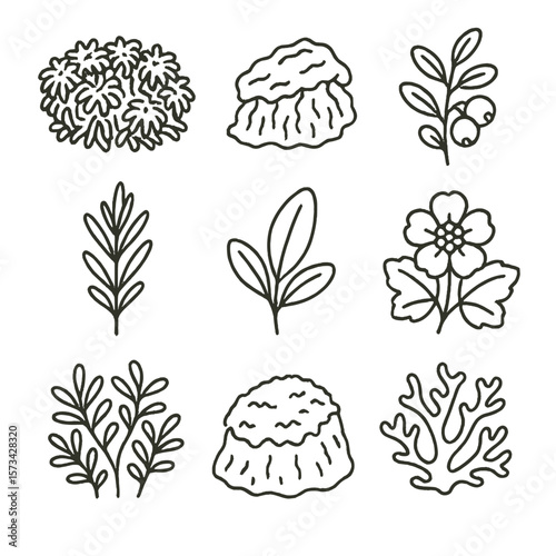 Bog Plant Icons. Outline style icons of Bog and Peat Plants: sphagnum moss patch, peat moss clump, bog cranberry plant, bog