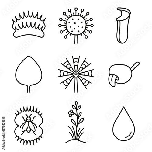 Carnivorous Plant Icons. Outline style icons of Carnivorous Swamp Plants: Venus flytrap jaw, sundew with sticky tentacles, pitcher