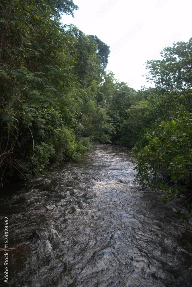 Rivers in Venezuela, Orinoco and Caroni.
Two enormous rivers that have a huge flow of fresh water cross much of Venezuela. Rivers in Venezuela, Orinoco and Caroni.
Two enormous rivers that have a huge flow of fresh water cross much of Venezuela.