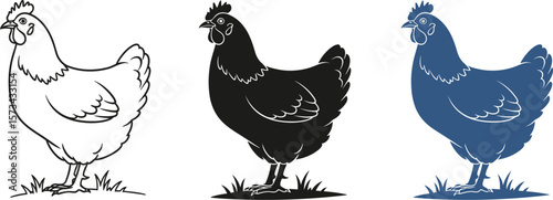 Chicken illustration set vector graphic farm animal poultry design art