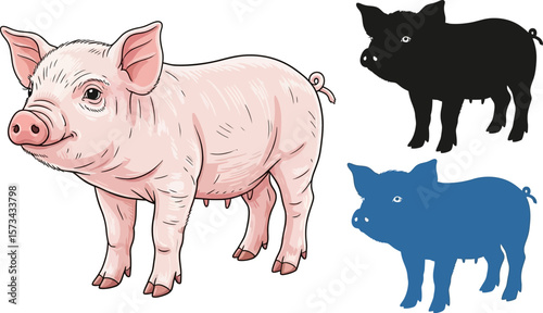 Pig illustration vector art download cute piglet farm animal graphics image