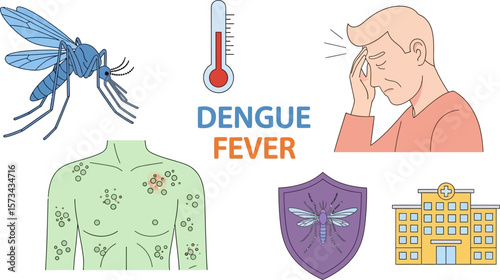 Dengue fever symptoms treatment prevention and mosquito control information