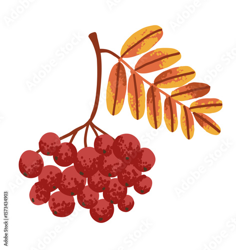 Forest rowan berry with yellow autumn leaf. Sorb branch in flat style with noise texture