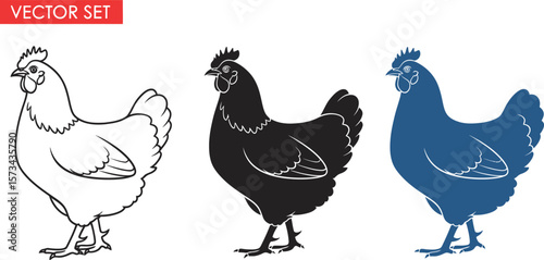 Chicken vector set illustration of farm animal poultry bird in different colors