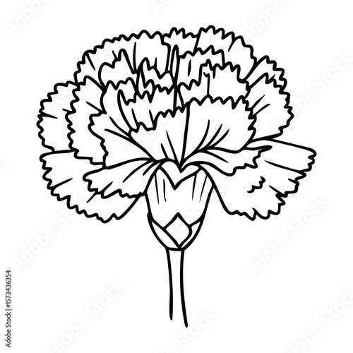 Black and white carnation flower outline drawing with detailed petals. Vector hand-drawn doodle illustration