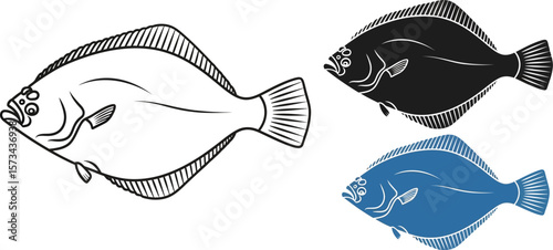 Find the best flounder fish vector art designs and graphics illustration