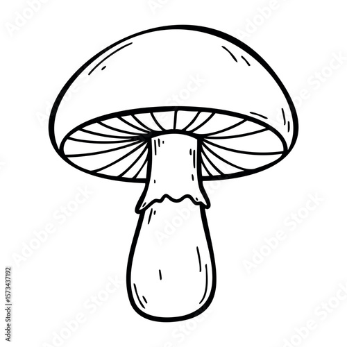 Black and white outline of a mushroom drawing with detailed cap and stem structure. Vector hand-drawn doodle illustration