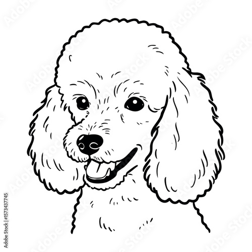 Cute poodle sketch showing fluffy ears and happy expression. Vector hand-drawn doodle illustration