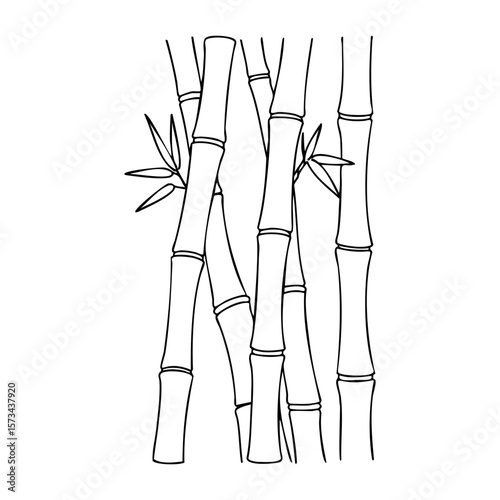 Outline of bamboo stems with leaves in minimalist style. Vector hand-drawn doodle illustration