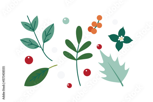 Whimsical Flat Style Botanical Elements Wintergreen And Berries