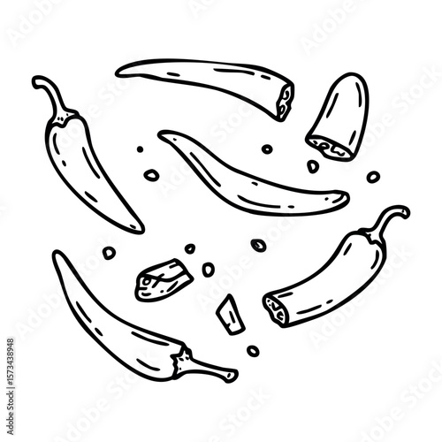 Illustration of sliced and whole chili peppers with seeds. Vector hand-drawn doodle illustration