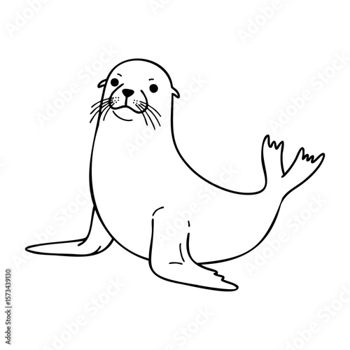 Cartoon seal illustration with whiskers and flippers. Vector hand-drawn doodle illustration