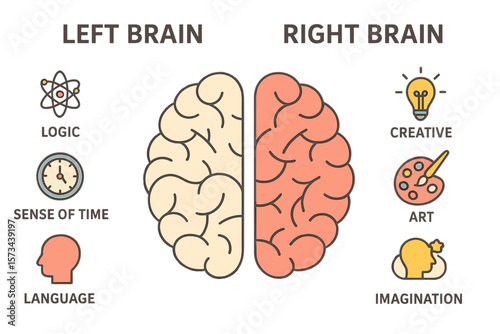 Concept of left and right human brain, featuring infographics that highlight logic and creative hemispheres with icons representing science, time, language, creativity, art, intuition, and