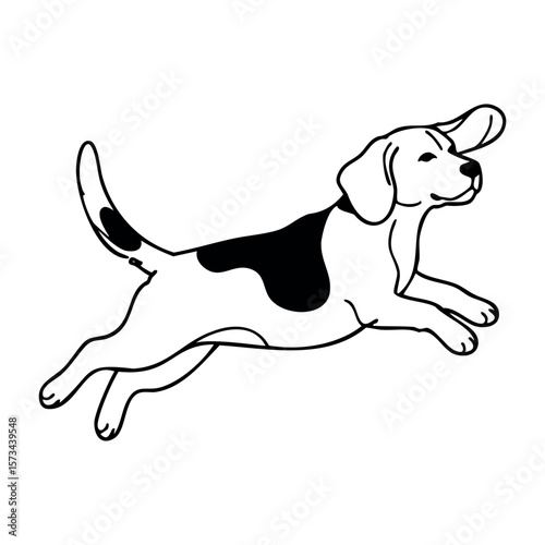 Outline drawing of a beagle leaping with energetic movement. Vector hand-drawn doodle illustration