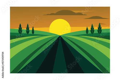Summer Sunset Casting Long Shadows On Green Wheat Field
