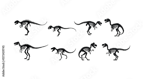 Skeletal representations of dinosaurs offer a prehistoric graphic for designs, perfectly suited for scalable artwork and creative paleontological explorations, suitable for various backgrounds.