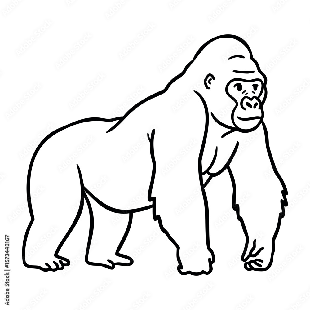Obraz premium Outline drawing of a gorilla in a standing position with detail. Vector hand-drawn doodle illustration