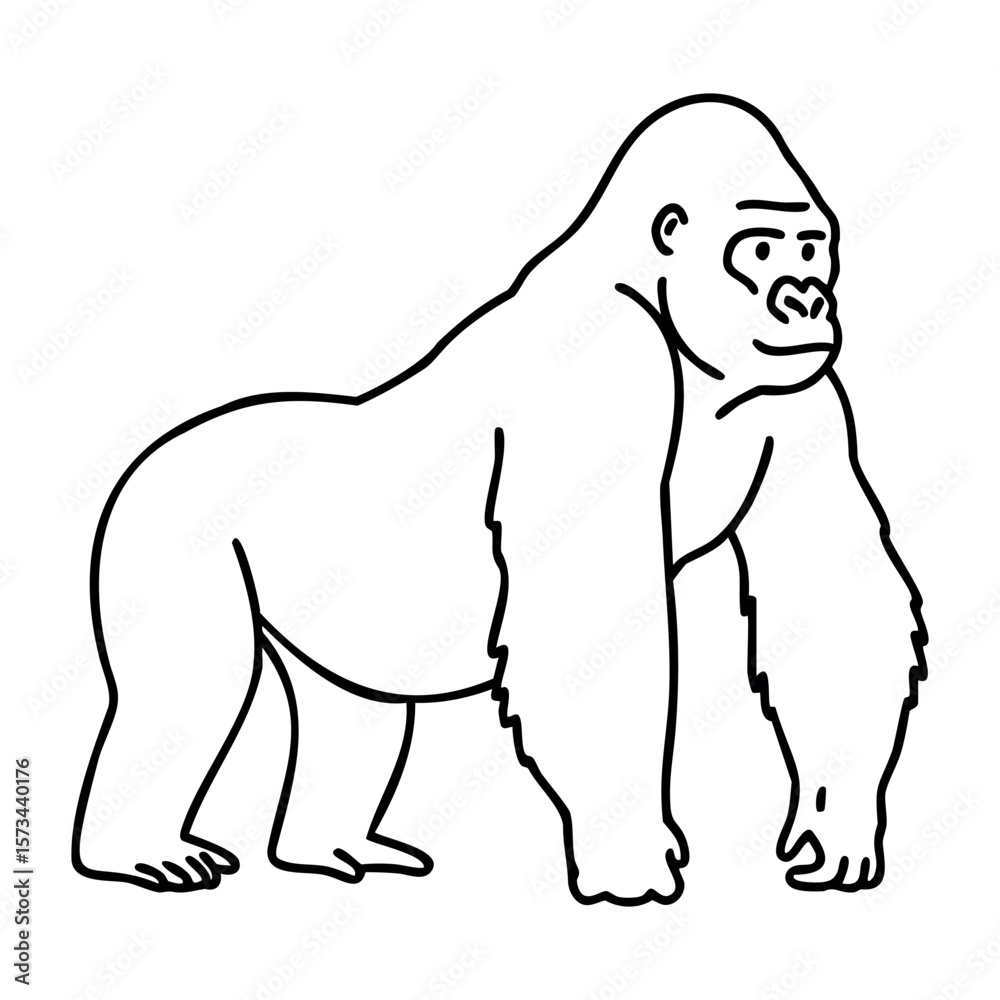 Obraz premium Outline of a standing gorilla in profile view. Vector hand-drawn doodle illustration