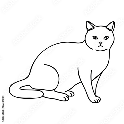 Outline drawing of sitting cat with pointed ears and curled tail. Vector hand-drawn doodle illustration