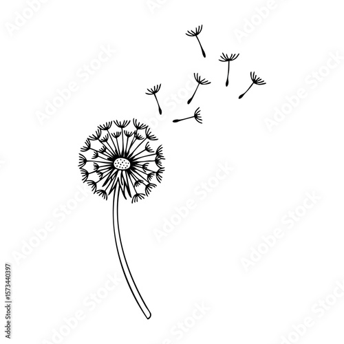 Simple dandelion sketch with seeds floating in the air. Vector hand-drawn doodle illustration