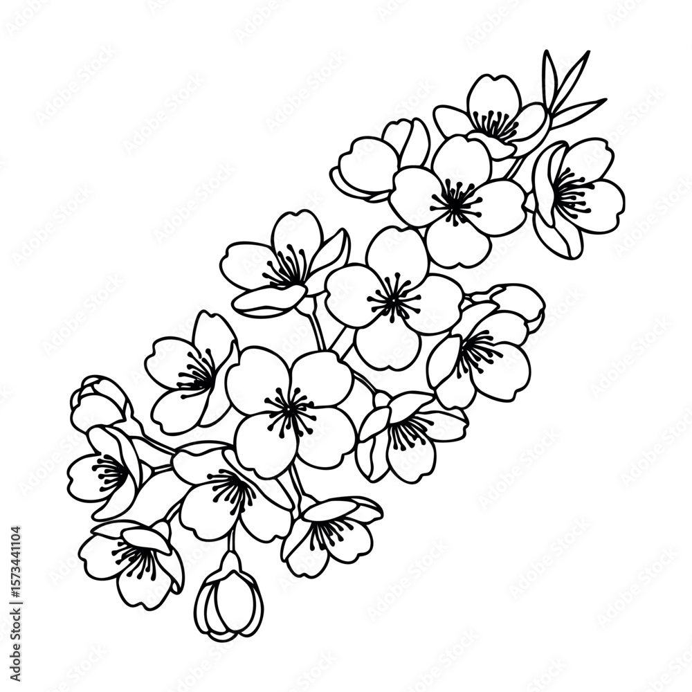 Fototapeta premium Intricate cherry blossom outline design with delicate blooming flowers. Vector hand-drawn doodle illustration