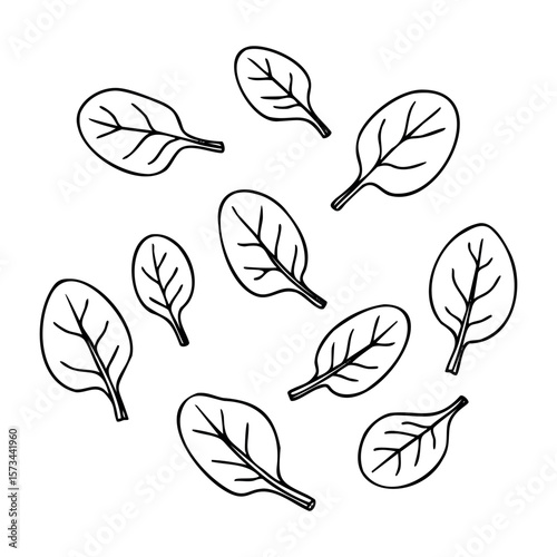 Hand-drawn spinach leaves pattern for coloring and design. Vector hand-drawn doodle illustration