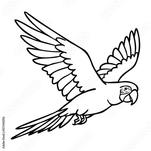 Flying parrot outline with spread wings. Vector hand-drawn doodle illustration