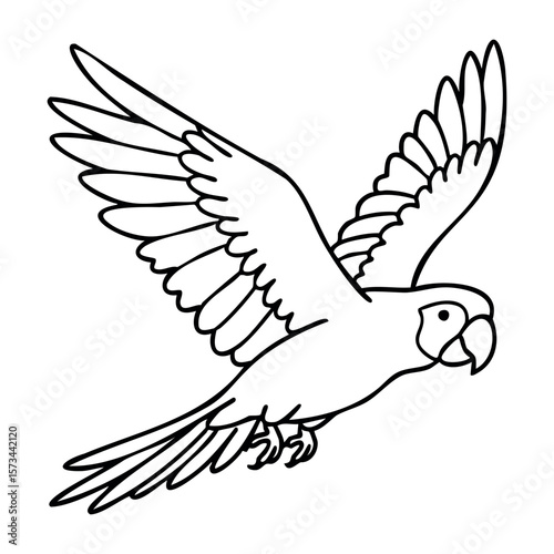 Parrot line art for coloring enthusiasts and bird lovers. Vector hand-drawn doodle illustration