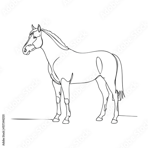 Elegant line drawing of a standing horse. Vector hand-drawn doodle illustration