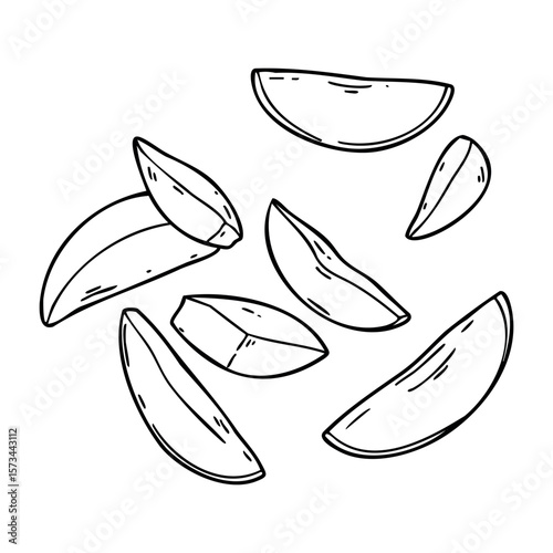 Hand-drawn potato wedges illustration. Vector hand-drawn doodle illustration