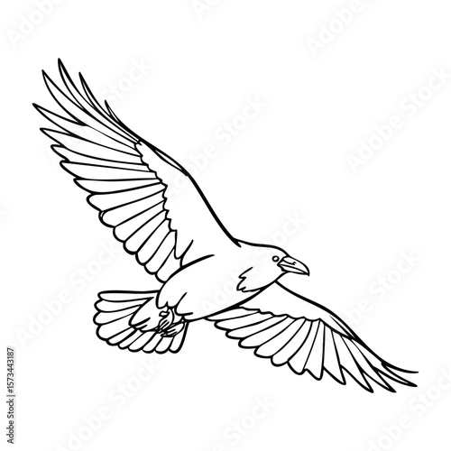 Detailed line art of flying eagle with outstretched wings. Vector hand-drawn doodle illustration