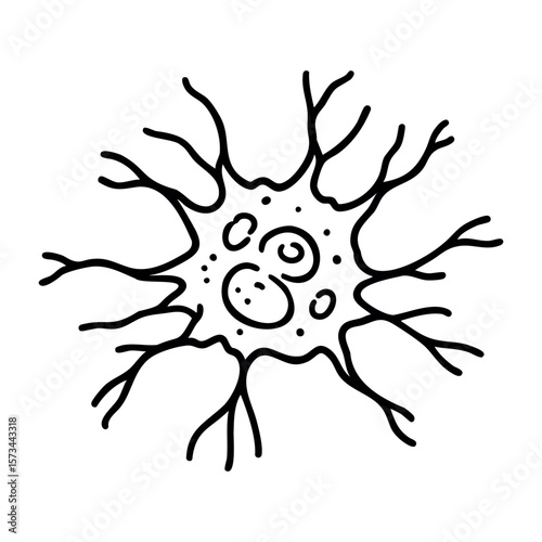 Hand-drawn illustration of a neuron cell with dendrites and nucleus in detail. Vector hand-drawn doodle illustration