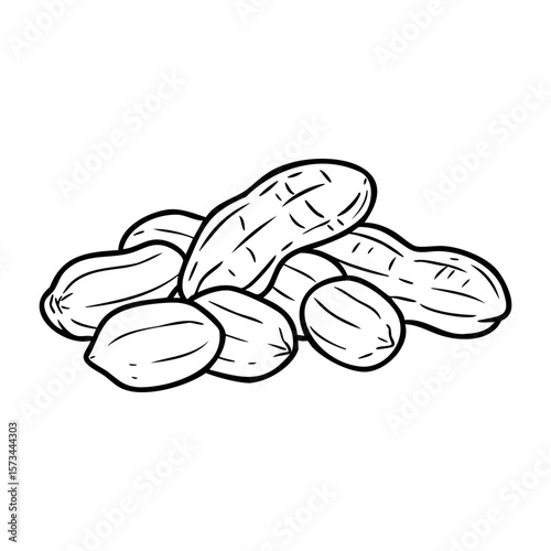 Hand-drawn line art of peanuts in shell. Vector hand-drawn doodle illustration