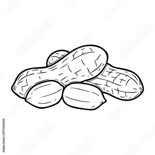 Monochrome illustration of peanuts with shells and kernels. Vector hand-drawn doodle illustration