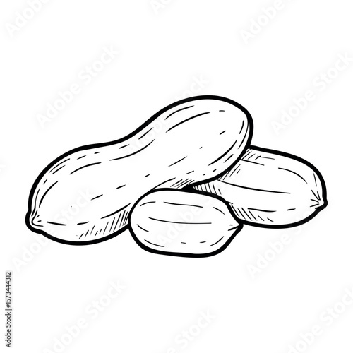 Hand-drawn peanuts illustration. Vector hand-drawn doodle illustration