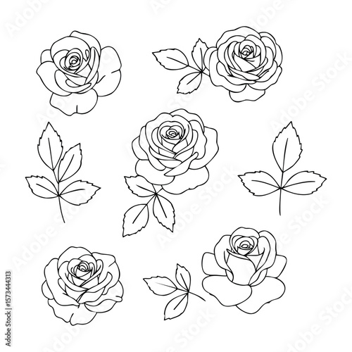 Line art of roses and leaves set for coloring and design projects. Vector hand-drawn doodle illustration