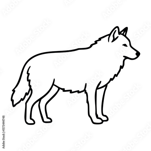 Outline of a standing wolf in profile view with simple details and defined features. Vector hand-drawn doodle illustration