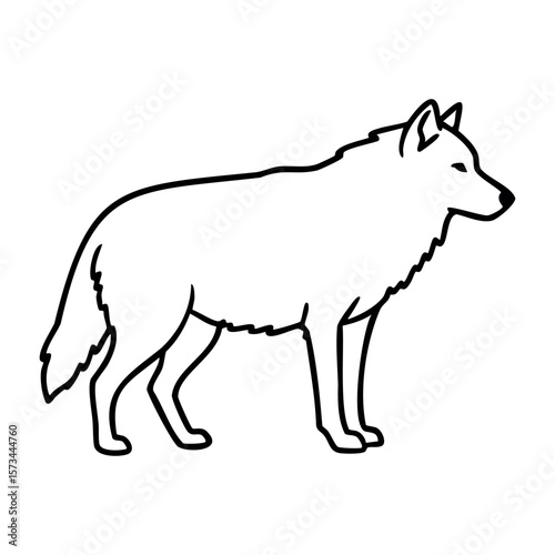 Outline drawing of a standing wolf in profile view. Vector hand-drawn doodle illustration