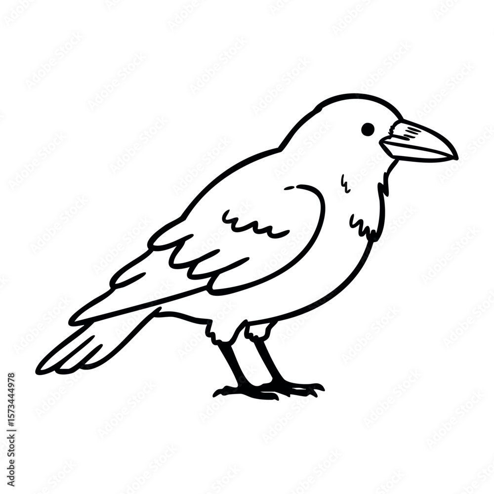 Obraz premium Outline of a crow standing in profile view. Vector hand-drawn doodle illustration