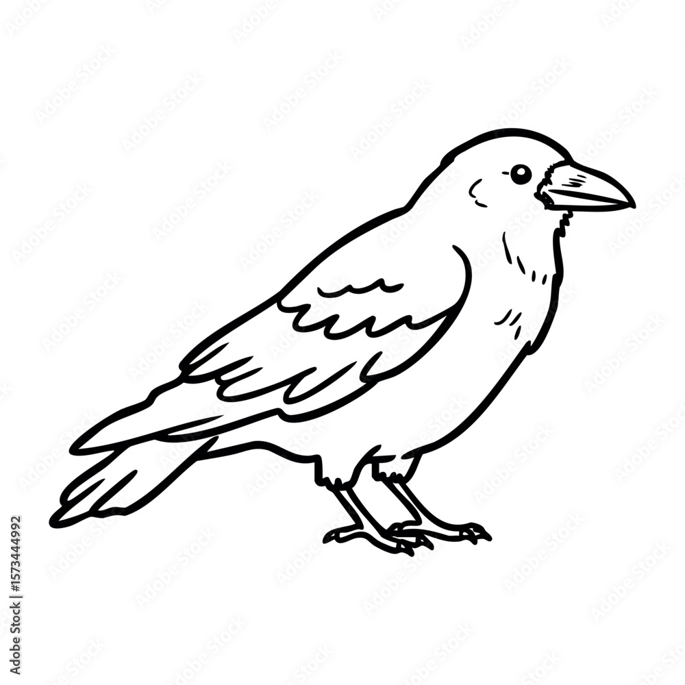 Fototapeta premium Line art of a standing crow with detailed features. Vector hand-drawn doodle illustration