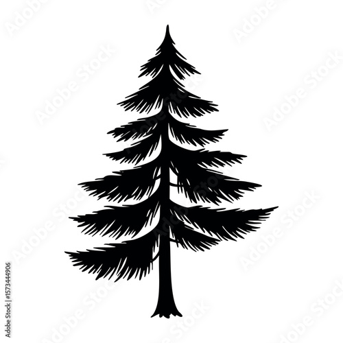 Silhouette of a tall pine tree with detailed branches. Vector hand-drawn doodle illustration