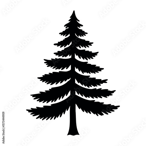 Silhouette of evergreen pine tree with detailed branches. Vector hand-drawn doodle illustration